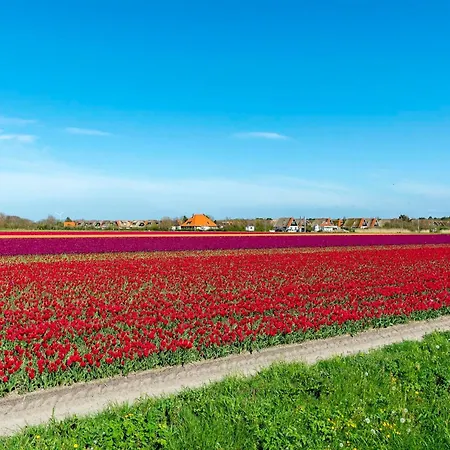 In With Whirlpool And *