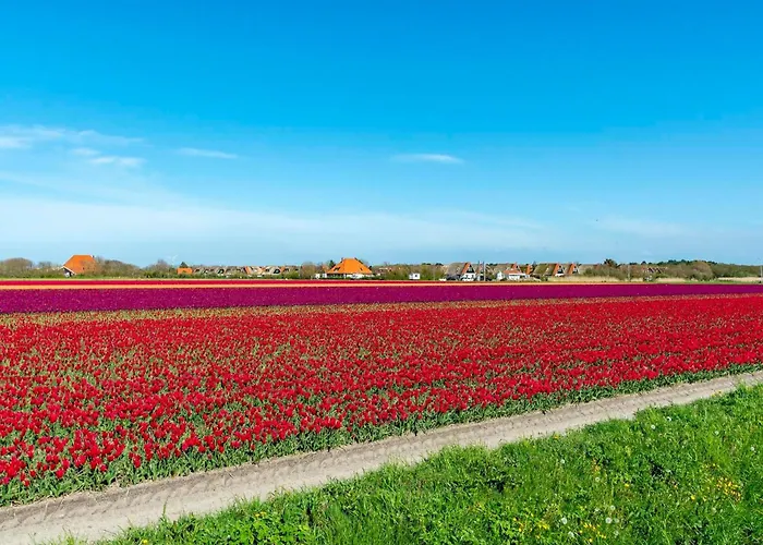 In With Whirlpool And *