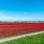 In With Whirlpool And *